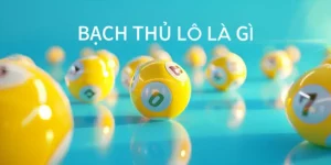 bạch thủ lô là gì