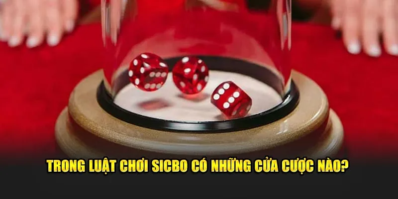 Trong luật chơi sicbo có những cửa cược nào?